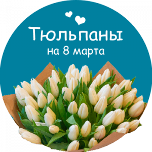 Купить тюльпаны в Новотроицке